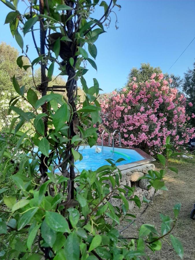 Mini Villa Giuseppina 博尼法乔 外观 照片